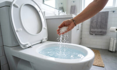 Experimente jogar um punhado de sal grosso no vaso sanitário… 30 minutos depois, toda a sua casa vai agradecer