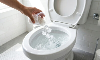 Jogar gelo com sal no vaso sanitário uma vez por semana: para que serve e por que é recomendado