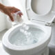 Jogar gelo com sal no vaso sanitário uma vez por semana: para que serve e por que é recomendado