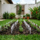 Coloque garfos de plástico na terra do jardim: jardineiros experientes garantem que funciona