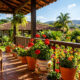 Três plantas que amam o sol e resistem aos dias mais quentes do verão