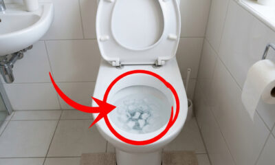 Jogar gelo no vaso sanitário uma vez por semana: para que serve e por que é recomendado