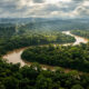Imagens de satélite revelam centenas de estradas antigas escondidas na Amazônia