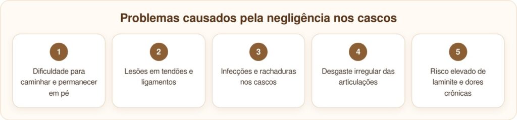 Pônei abandonado tinha cascos tão grandes que mal conseguia andar