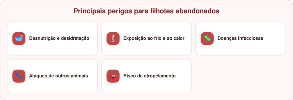 Motorista salta do carro quando quatro filhotes correm até ela pedindo ajuda