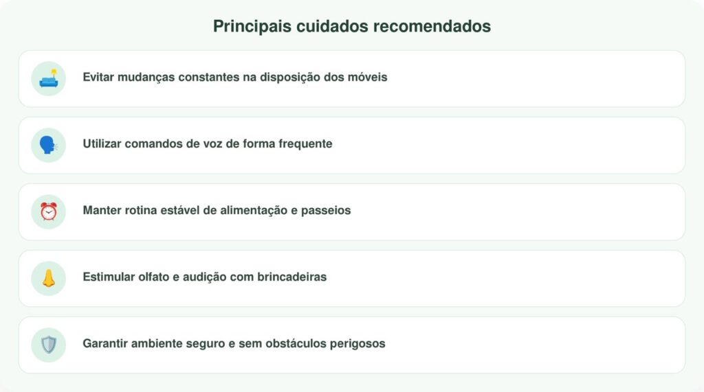 Cachorro perde a visão, mas continua buscando o jornal diariamente