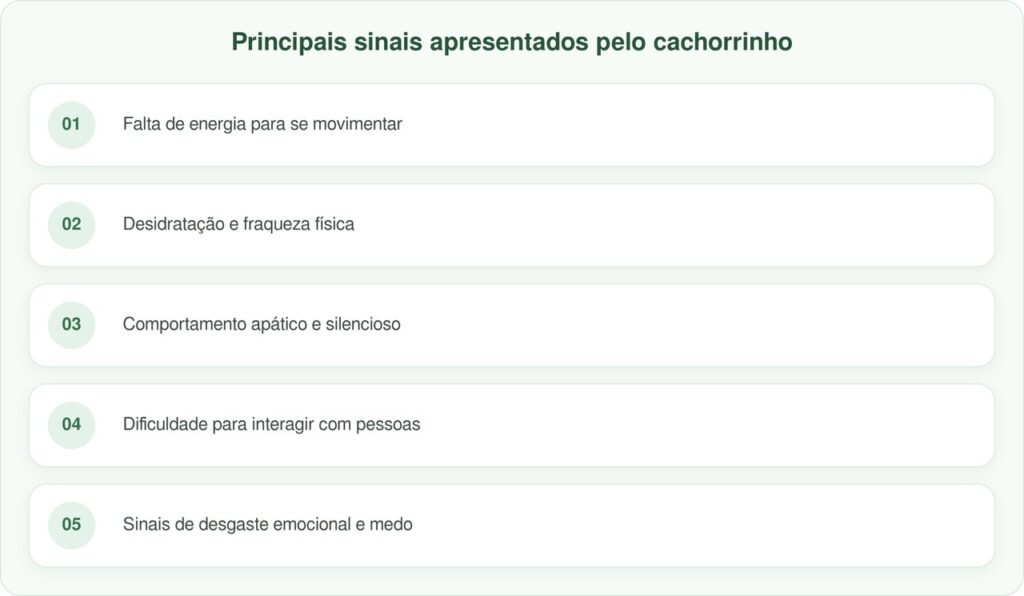 Cachorrinho solitário que não se mexia volta lentamente à vida