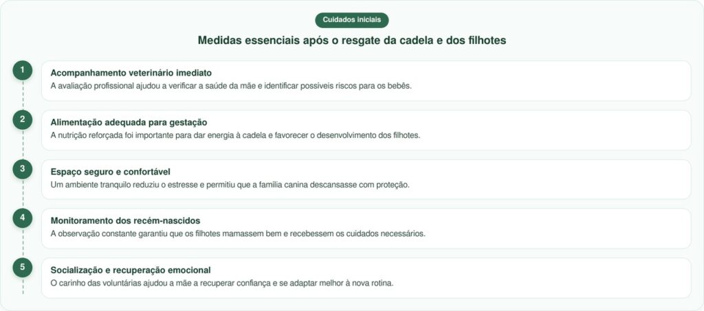 Grupo de mulheres salva cadela grávida da eutanásia em resgate emocionante