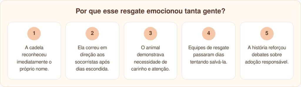 Cadela abandonada na mata dias após adoção corre ao ouvir seu nome