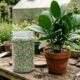 Como escolher o melhor adubo para plantas e evitar erros que prejudicam folhas, flores e raízes