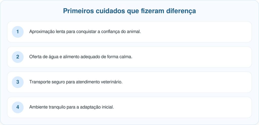 Cachorrinho tímido encontrado tremendo em vala ganha nova chance após resgate