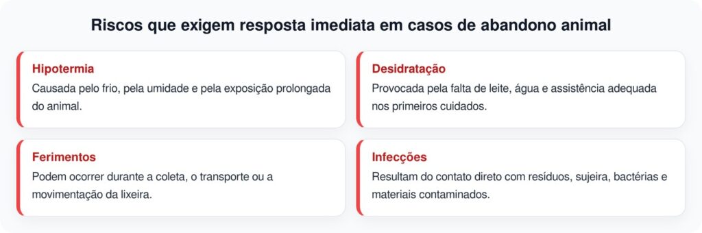 Bebês recém-nascidos são encontrados por coletores de lixo em uma lixeira