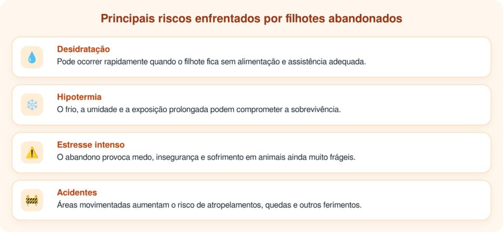 Dez bebês abandonados foram encontrados em caixa coberta por cobertor