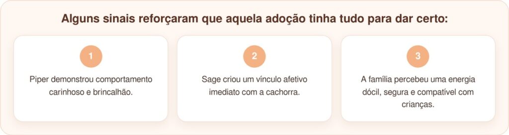 Cadelinha de abrigo tem reação emocionante ao rever menininha que voltou para adotá-la