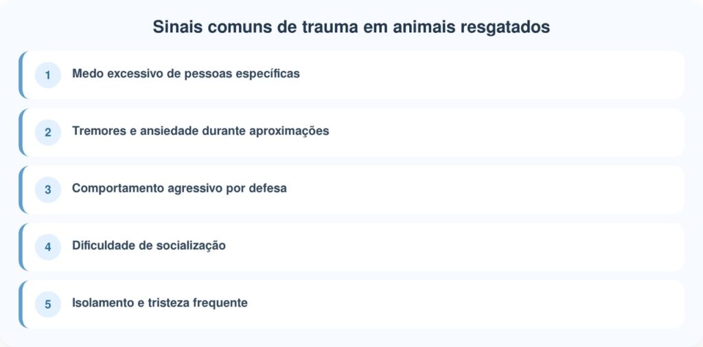 Cão de abrigo tem medo de homens e funcionária encontra solução