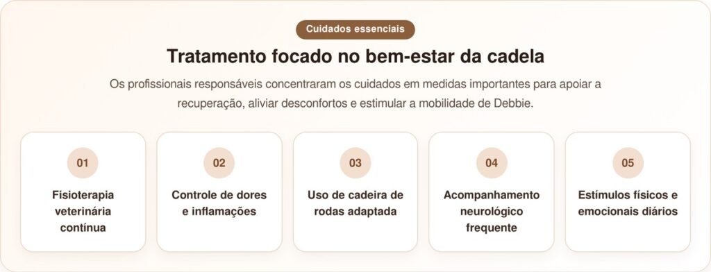 Cadela que não deveria voltar a andar surpreende e prova que todos estavam errados
