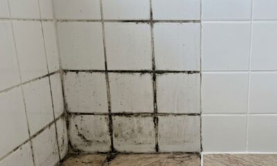 Borrifar vinagre de álcool puro nos rejuntes dos azulejos à noite: para que serve e como a parede fica pela manhã