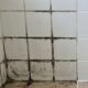 Borrifar vinagre de álcool puro nos rejuntes dos azulejos à noite: para que serve e como a parede fica pela manhã