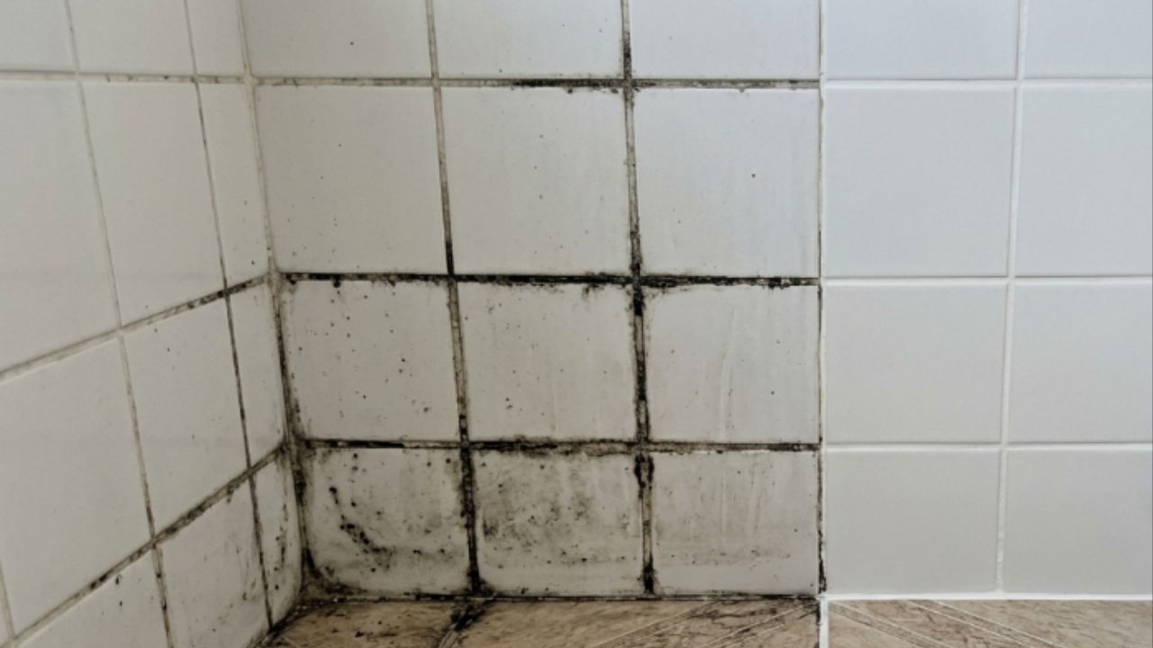 Borrifar vinagre de álcool puro nos rejuntes dos azulejos à noite: para que serve e como a parede fica pela manhã