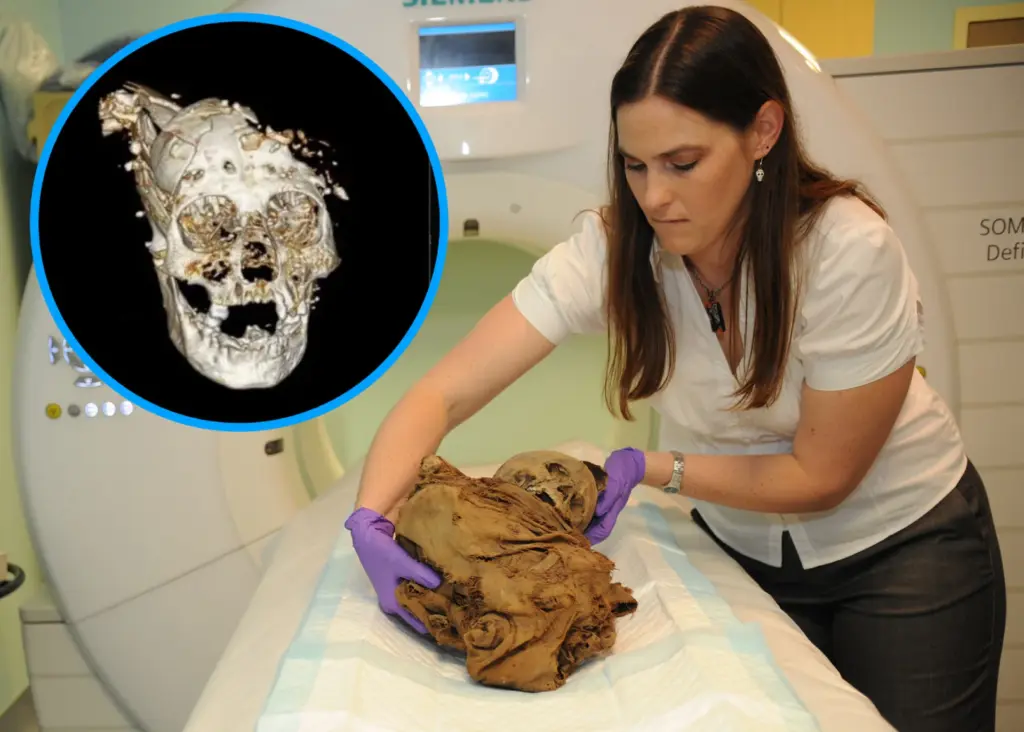 Múmias infantis revelam detalhes chocantes sobre antigos rituais de sacrifício dos Incas