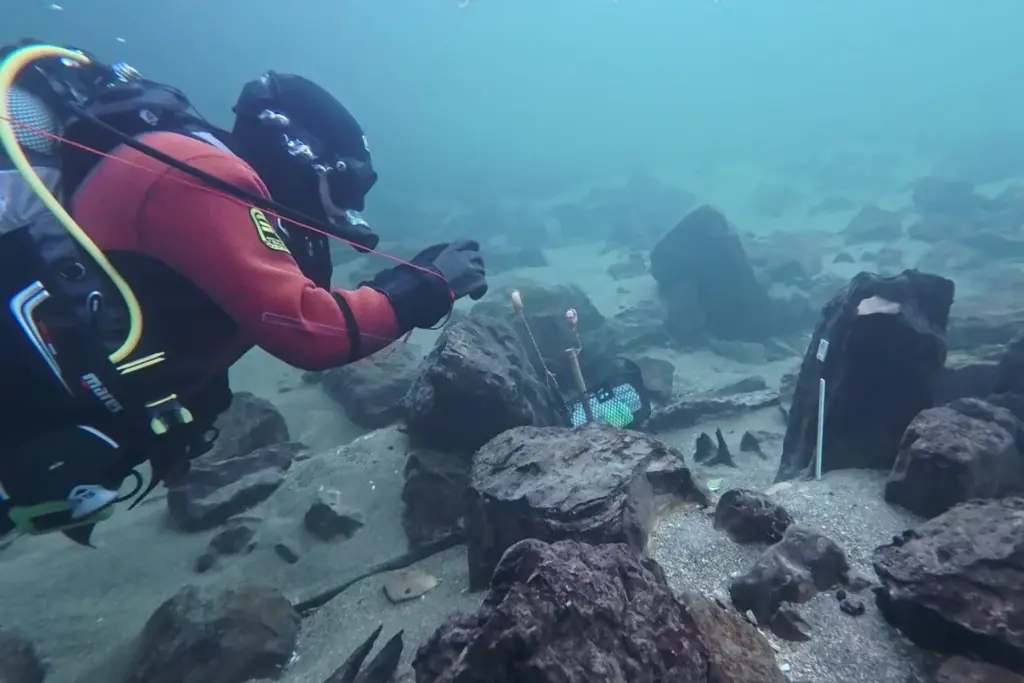 Arqueólogos encontram vestígios de ponte romana de 1.700 anos em rio da Suíça