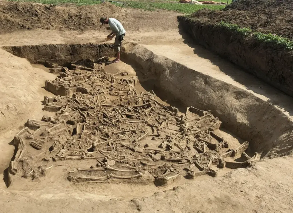 77 esqueletos sem crânio intrigam arqueólogos em um dos mistérios mais surpreendentes da pré-história