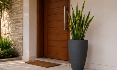 A planta mais associada à proteção do lar também virou uma das favoritas na decoração de entradas