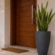 A planta mais associada à proteção do lar também virou uma das favoritas na decoração de entradas