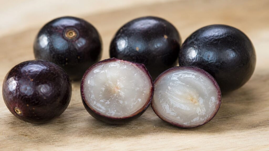 A maior concentração de antocianinas e compostos fenólicos está presente na casca da fruta