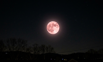 Lua de Morango acontecerá na segunda (29/6) e será visível no Brasil