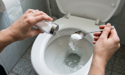 Colocar sal no vaso sanitário à noite antes de dormir: para que serve e por que você deve fazer isso toda semana