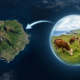 Em 1871, um fazendeiro abandonou cinco vacas numa ilha remota e elas acabaram sobrevivendo por 140 anos e colonizando o local com quase 2 mil delas, o que surpreende cientistas até hoje