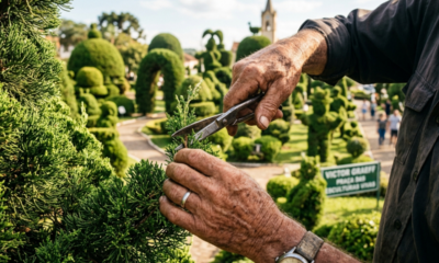 Um jardineiro de 89 anos esculpiu mais de 200 figuras em árvores em uma cidade de 3 mil moradores e criou a praça mais bonita do RS