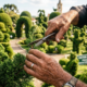 Um jardineiro de 89 anos esculpiu mais de 200 figuras em árvores em uma cidade de 3 mil moradores e criou a praça mais bonita do RS
