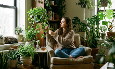 O que significa quando a pessoa tem muitas plantas em casa, segundo a psicologia