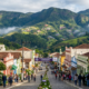Onde faz frio no Nordeste: A "Suíça Pernambucana" tem montanhas com flores e o maior festival multicultural da América Latina