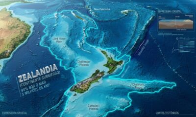 Pesquisas mostram que Zealandia possui características geológicas de um continente próprio apesar de estar 94% submersa