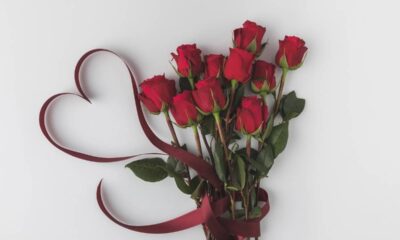 Buquê de rosas vermelhas com fita vermelha formando um coração em um fundo branco.
