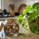 Um resíduo comum da cozinha pode virar reforço simples para cuidar melhor das plantas