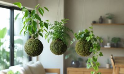 A kokedama transforma a planta em uma escultura viva sem vaso