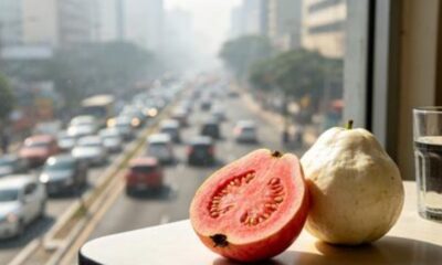 A goiaba reúne antioxidantes que podem ajudar o corpo na rotina urbana