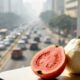 A goiaba reúne antioxidantes que podem ajudar o corpo na rotina urbana