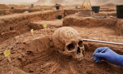 DNA revela que a primeira epidemia de peste ocorreu há 5.500 anos e mudou a história humana