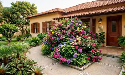 Nem hortênsias, nem azaleias: este arbusto florido para entrada da casa traz mais cor, volume e charme ao jardim