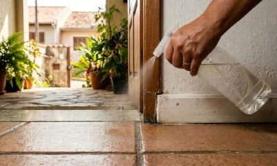 Borrife vinagre na entrada de casa: para que serve e por que muita gente recomenda