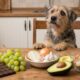 Conheça os 10 alimentos que nunca devem fazer parte da dieta dos cães