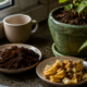 Misturar café usado com casca de banana pode transformar restos da cozinha em força para o jardim