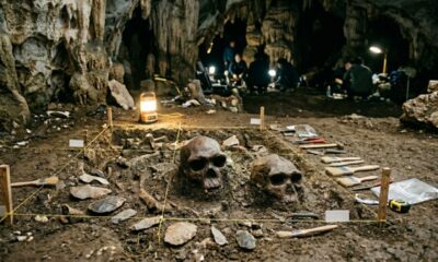 Crânios de Homo erectus na China podem reescrever a história da chegada dos primeiros humanos ao leste da Ásia