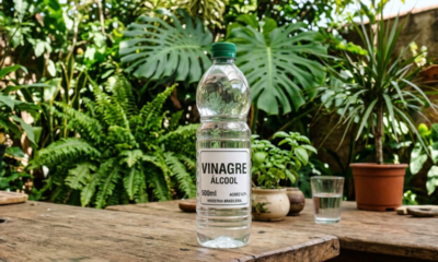 O truque simples com vinagre que faz as plantas ficarem mais bonitas e saudáveis e toda visita vai notar