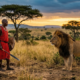 Provérbio africano do dia: “Até que os leões tenham seus próprios historiadores, as histórias de caça sempre glorificarão o caçador” que ensina sobre perspectiva, verdade e como a história depende de quem a conta